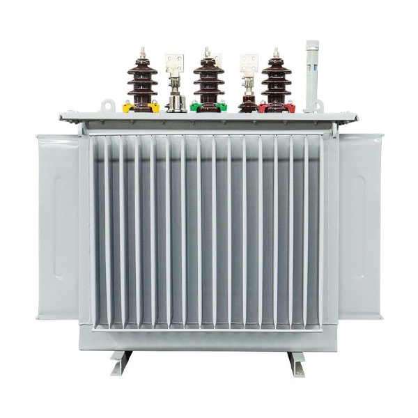 10kV olie-ondergedompelde distributie-stroomtransformator